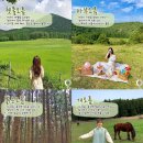 애월펜션 화목맨션 이미지