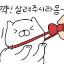 청솔상사 이미지