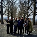 곡교천 은행나무길 이미지