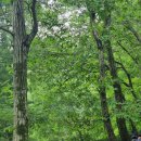 산성공원 놀이터 | [ 남한산성공원 유아숲체험원 ] 성남 산성공원 계곡과 함께 있는 숲속놀이터 후기, 5살 아이가 놀기...