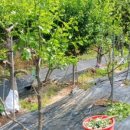 월산농장 이미지