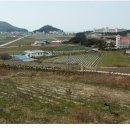 대명농장 이미지