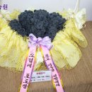 혜윰농원 | 늘품농원 새콤달콤 포도 시식 우수후기 발표