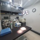 바나나 동물병원 | 인천 구월동 동물병원 바나나동물병원 진료시간 접근성 이용후기