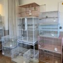 리프패럿시민공원점 이미지