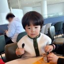 영도의 자연과 함께 일상에서의 ’탈피’ | 부산 영도 아이와 함께! 국립해양박물관에서 꿀잼 하루 보낸 후기