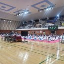 한국체대 석사 태권도장 이미지