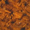 사계자리 이미지