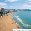 옥계해수욕장(숲) 이미지