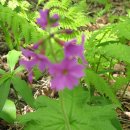 덕산농장2 이미지