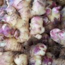 혜성농장 이미지