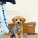 홍글몽글 이미지