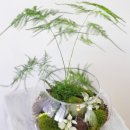 책상 위의 작은 정원, 테라리움 만들기 이미지