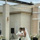 남산갈비오리 | 남산예술원웨딩홀 야외결혼식 하객 후기 : 셔틀·주차·음식 솔직 리뷰