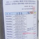 울산광역시 남구 신정1동 행정복지센터 네이버블로그