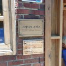 사랑나무돈까스 티스토리
