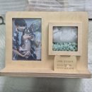 (주)젠틀펫 이미지