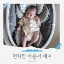 먼치킨 | 아기 재우는 법, 먼치킨 바운서 대여 후기 (리모콘 할말?)