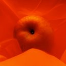 사과(apple)와 매너티(manatee) 이미지
