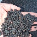 자연산 여정실 효능 백반증 이명 민간요법 특효ㅡ우울증 천연정력제 변비 민간치료제 자연산 여정실 효능 자연산 여정실은 이명치료 특효 민간 이미지