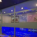 형제카자동차병원 | 천안키즈카페 키벤저스 천안 다녀온 후기 (2025년 11월 방문)