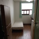 서림동-33 이미지