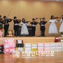사평초 이미지
