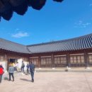 보길도 윤선도 원림 이미지