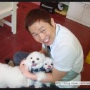 애니펫살롱 | 별이. 달이. <말티즈 나팔,롱 썸머컷> 원주애견샵.애니펫살롱