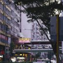 호텔버스 | 홍콩 마카오 페리 예약 터보젯 코타이젯 호텔 셔틀버스 후기