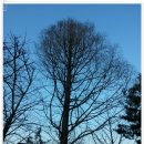 소사경찰서 주차장 이미지