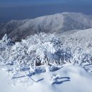 12월 20일(수) 강원/평창 오대산국립공원 눈꽃산행 안내 이미지
