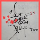 캘리 그래피 Daum카페