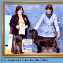 AKC's Weekly Wins Gallery -- February 18, 2010 이미지