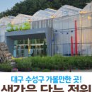 [수성구청] 생각을 담는 정원 이미지