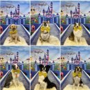 멍스 스쿨 이미지