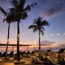 파인트리리조트 이미지