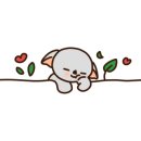 반지토퍼