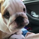 개린이날 이미지