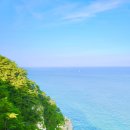 태종대 관광안내소 | 부산 여름여행 태종대 전망대 다누비열차 운행코스