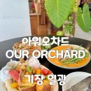 울통치킨(기장 일광점) | 기장 브런치 카페 아워오차드 분위기와 맛 다 사로잡은 일광맛집