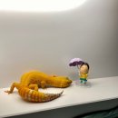 디어몽몽 이미지