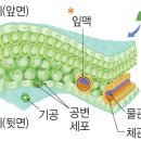 수정에너지 이미지