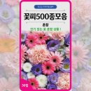 정원야생화 | 꽃씨 500종 모음으로 봄맞이 정원 꾸미기 ★ 꽃씨몰 다년생 야생화 씨앗 후기