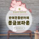 몽글 몽글 | [경기도, 남양주] 별내 몽글브라운 다녀온 솔직 후기