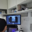 돌봄동물의료센터 이미지