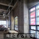 디엘마르 네이버블로그