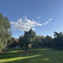 동선태극권 | 🍁 베이징 가을 여행 | 천단공원(天坛公园) 다녀왔어요!