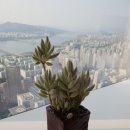 신행운공인중개사사무소 이미지