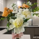 주아플레르 일산꽃집 꽃다발 후기 대화동에서 픽업한 꽃
